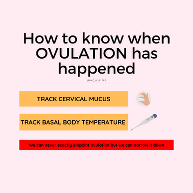 Predicting Ovulation