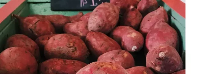 Sweet potatoes